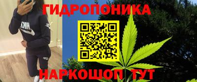 соль ск Новодвинск