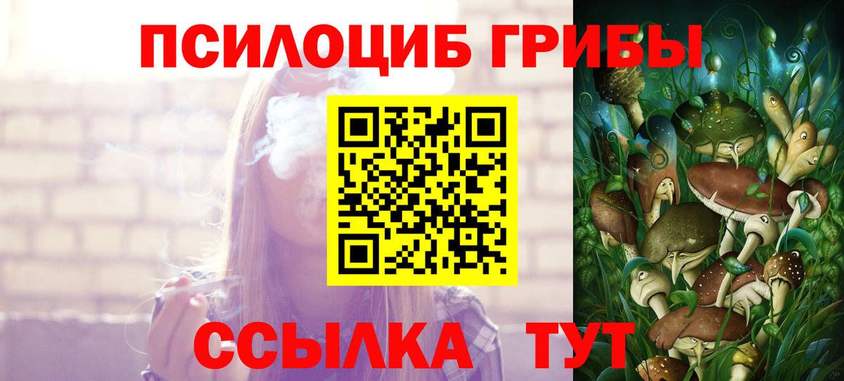 Брянск  Псилоцибиновые грибы MAGIC MUSHROOMS  Вход с VPN 